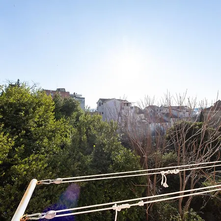 Lazy Day In Apartman